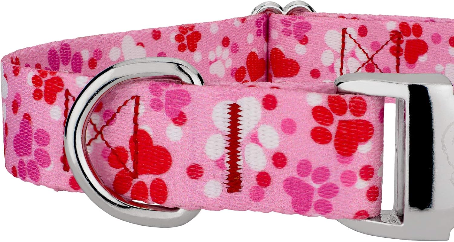 Country Brook Petz - Premium Puppy Love Dog Collar and Leash - Affection Collection Featuring Designs You'll Adore (5/8 Inch, Small)