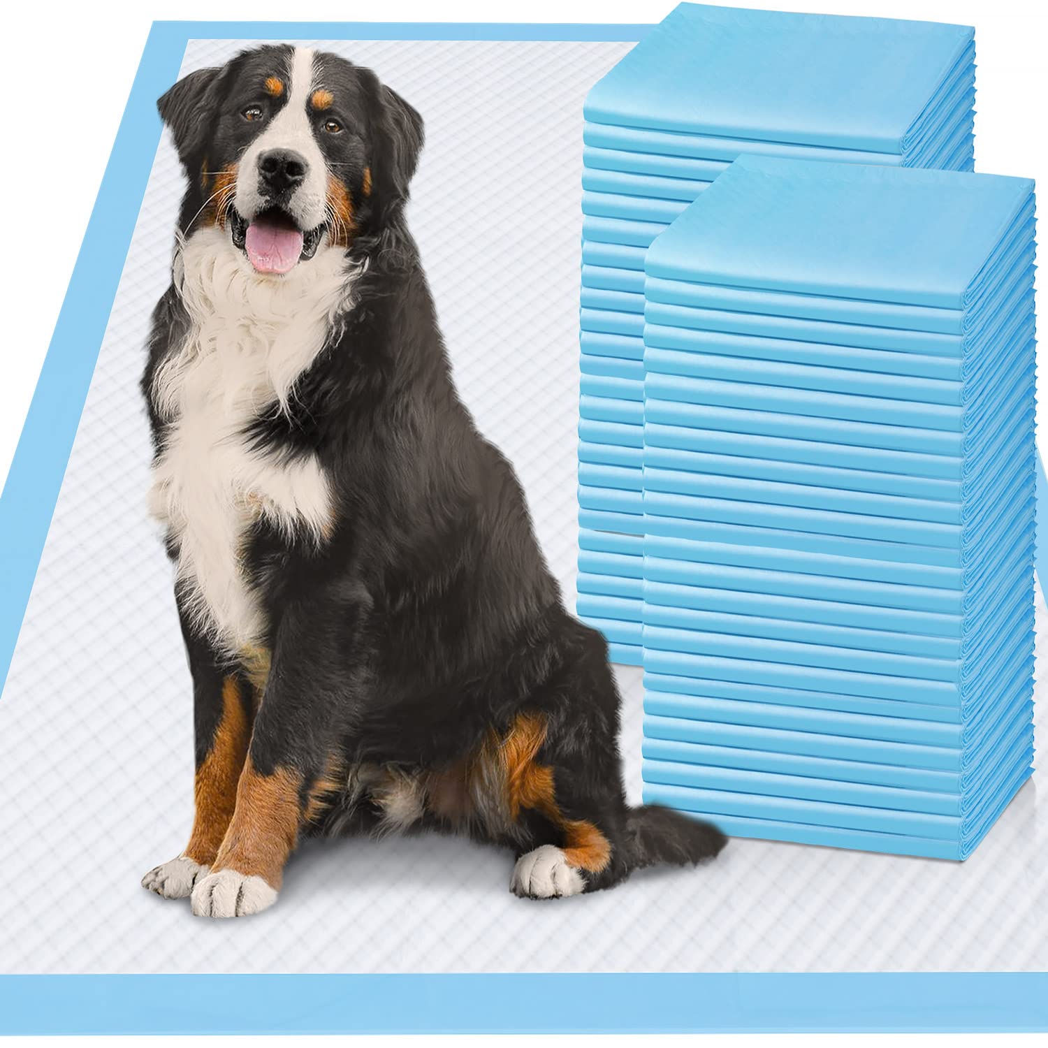 Why Is My Dogs But Leaking