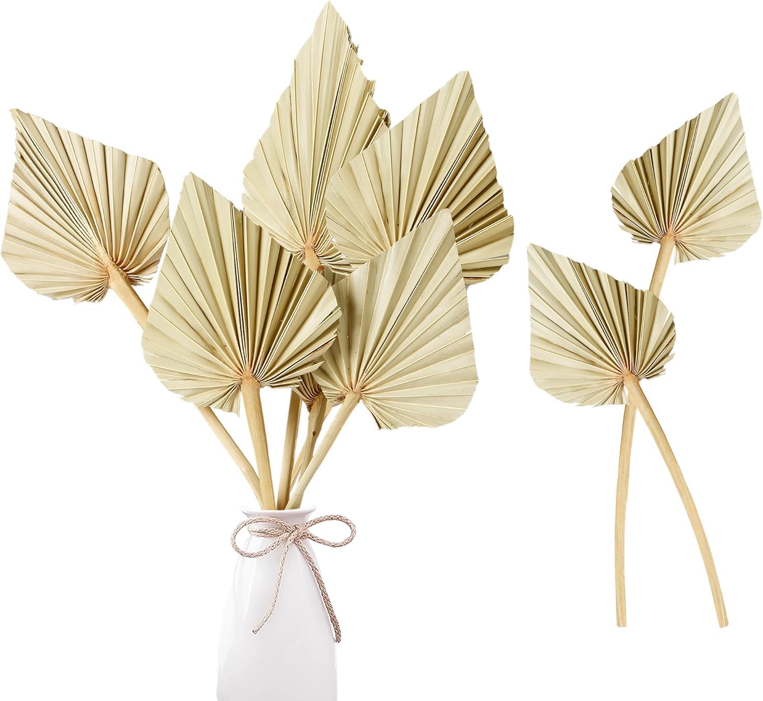 Dried Pampas Grass Set - Boho Home Decor -10