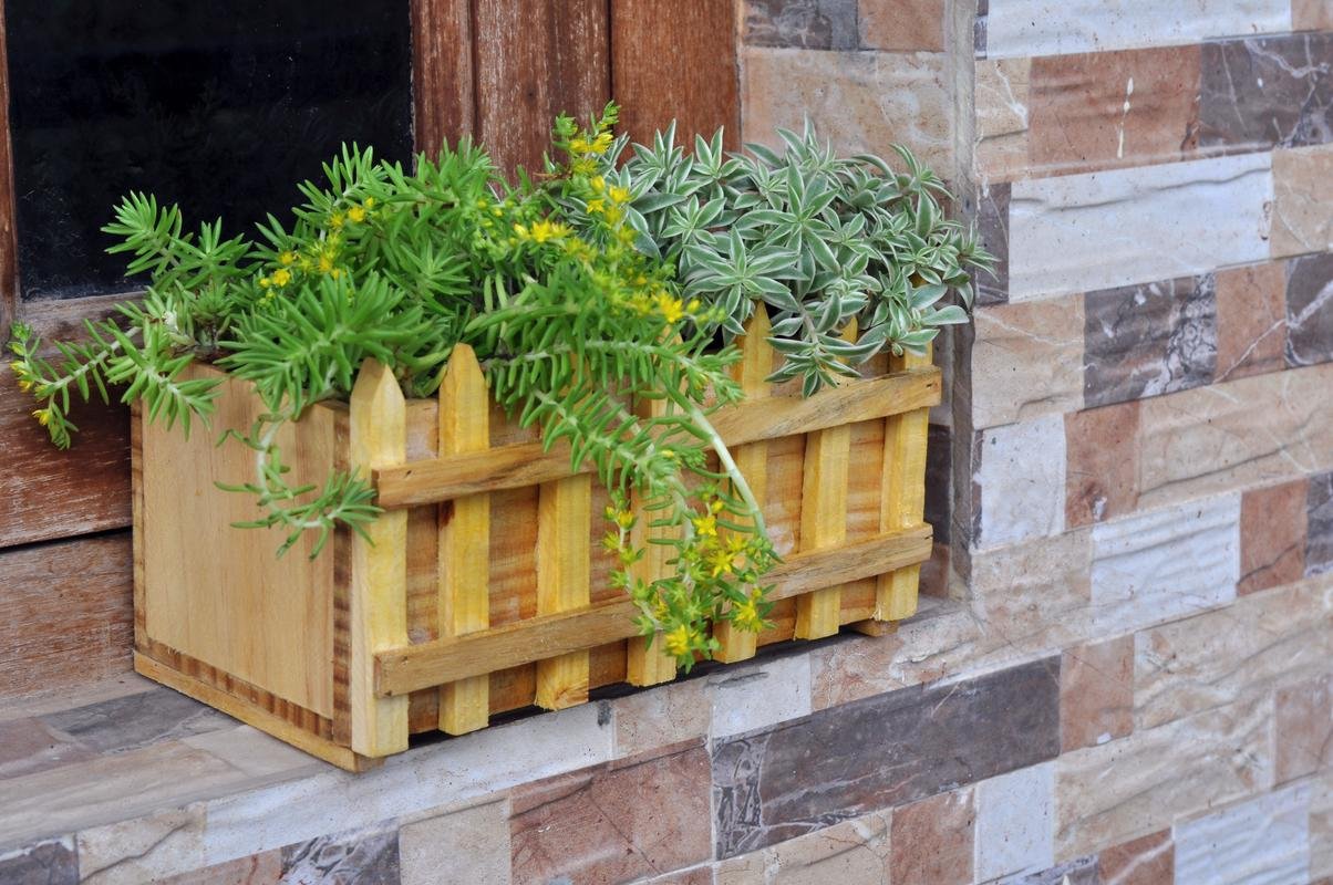 Eden Studio Fence Wooden Planter Amazon.in Garden & Outdoors