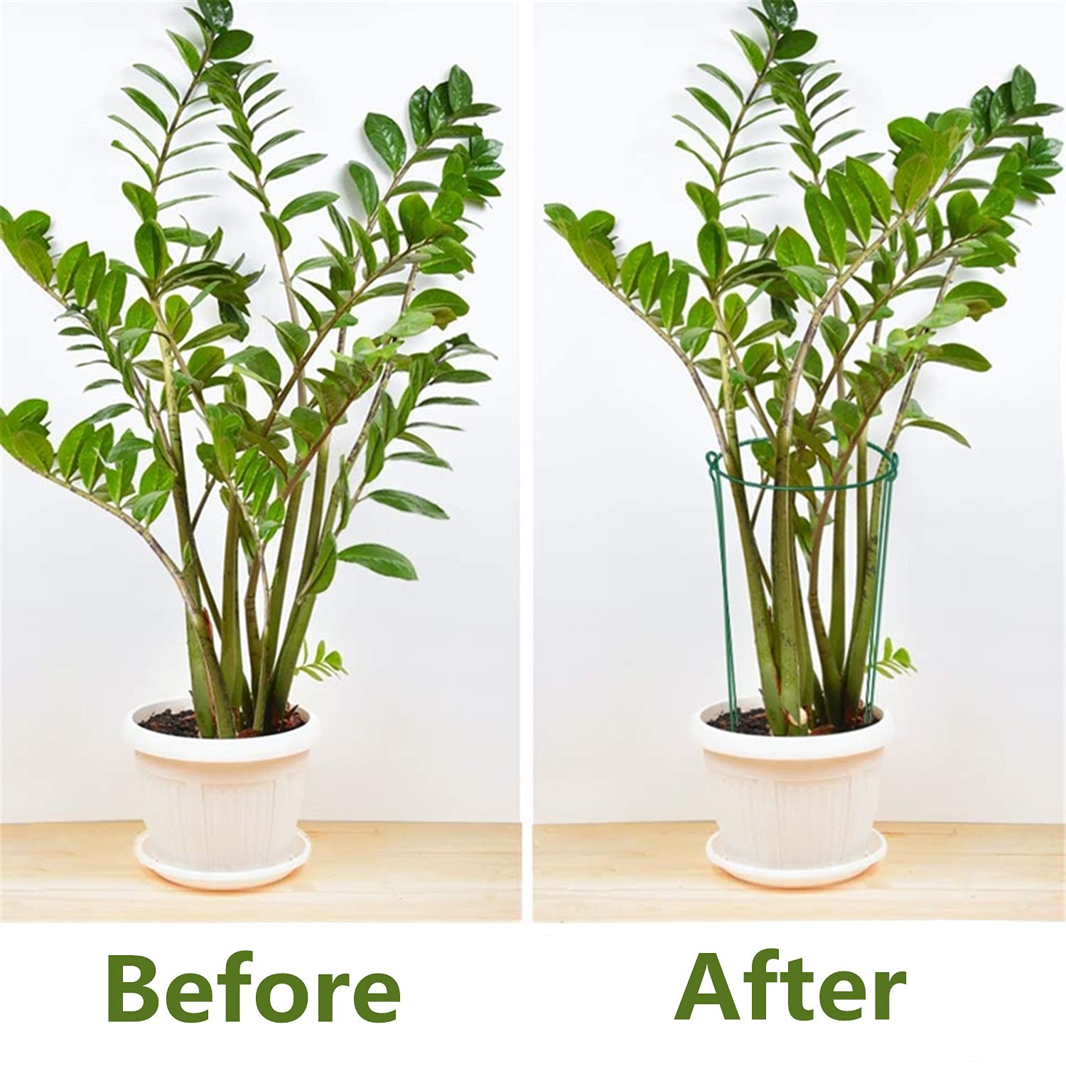 Clips Pour Plants De Tomates AMDZGLB - 200 Pièces, Support Vigne Légumes, Jardinage Balcon - Plastique Résistant, Ventilation Optimisée