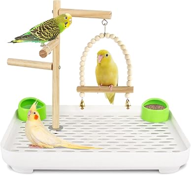 4 In 1 Bird Playground Stan with Large Tray, Food Bowl, Wooden Bird Play Stand and Swing, Play Gym & Accessories for Parrots Cockatiels Conures Parakeets Lovebirds