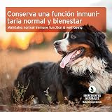 Ver la foto 6