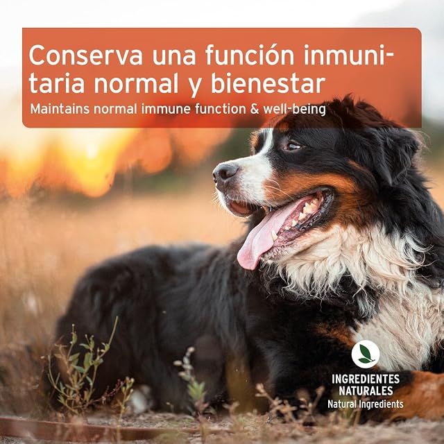 Foto 6 de 7 de AniForte Immun-Boost Snack 300 g para Perros