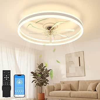 NIORSUN Ceiling Fans with Lights and Remote, 6 Speeds, 3 Color Temperatures, Dimmable Quiet Ceiling Fan Light, Smart Modern LED Fan Lights Ceiling for Bedroom Living Room Dining Room (60cm, White)