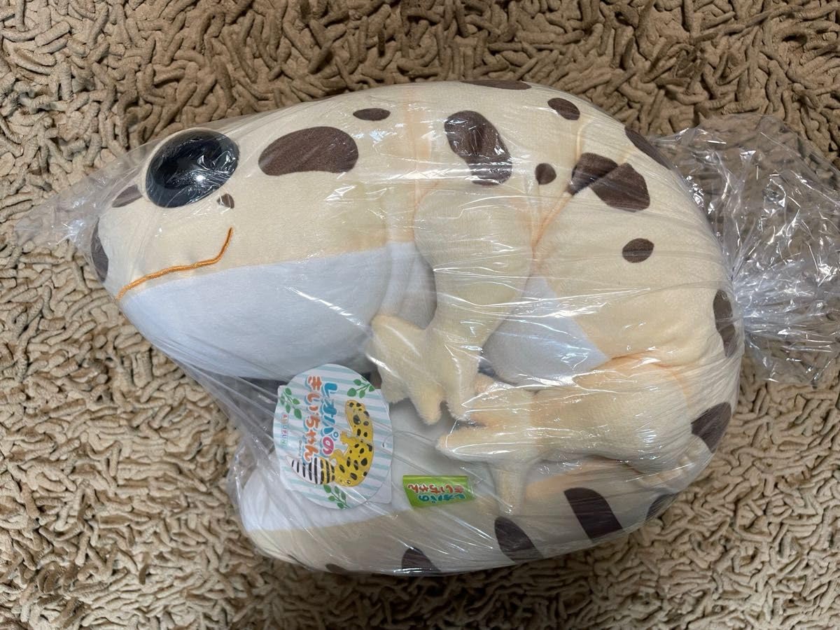 ≪5月の新商品≫レオパのきいちゃんなかよし-NEW ITEM！｜アミューズ