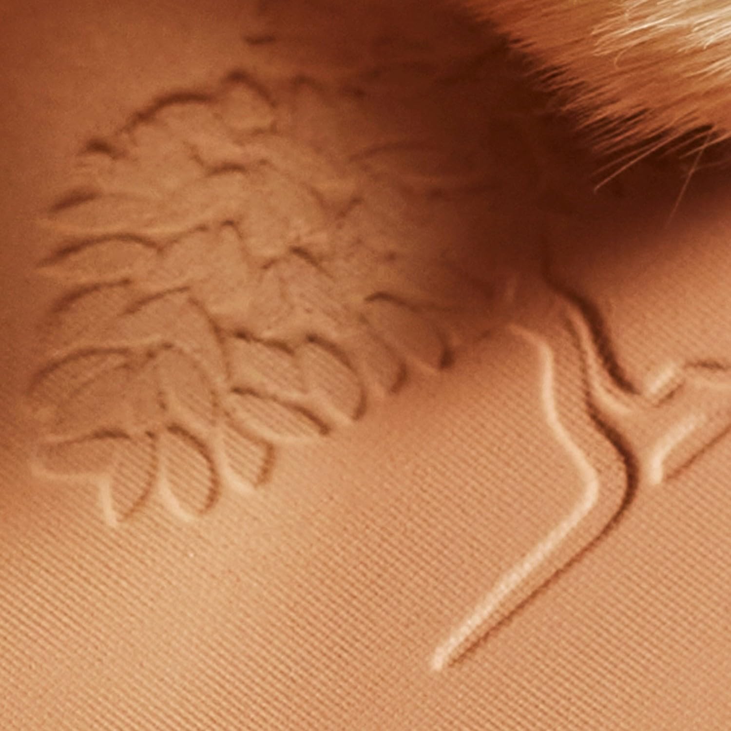 Alterna Nuxe Teint Eclat Prodigieux Powder 25 Gr