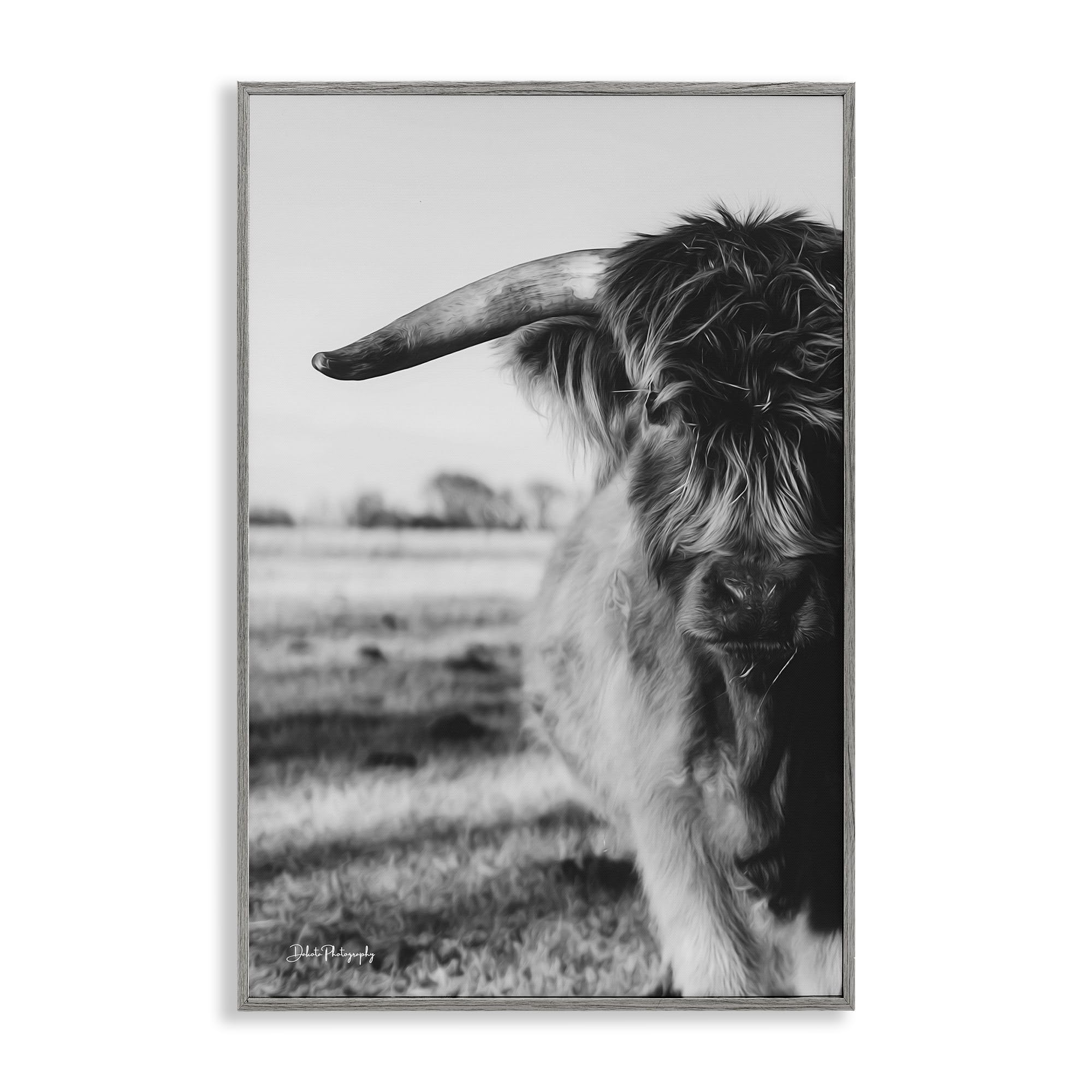 Baby Cattle Monochrome Farmhouse, 16 x 24 Inch Framed Giclée Print