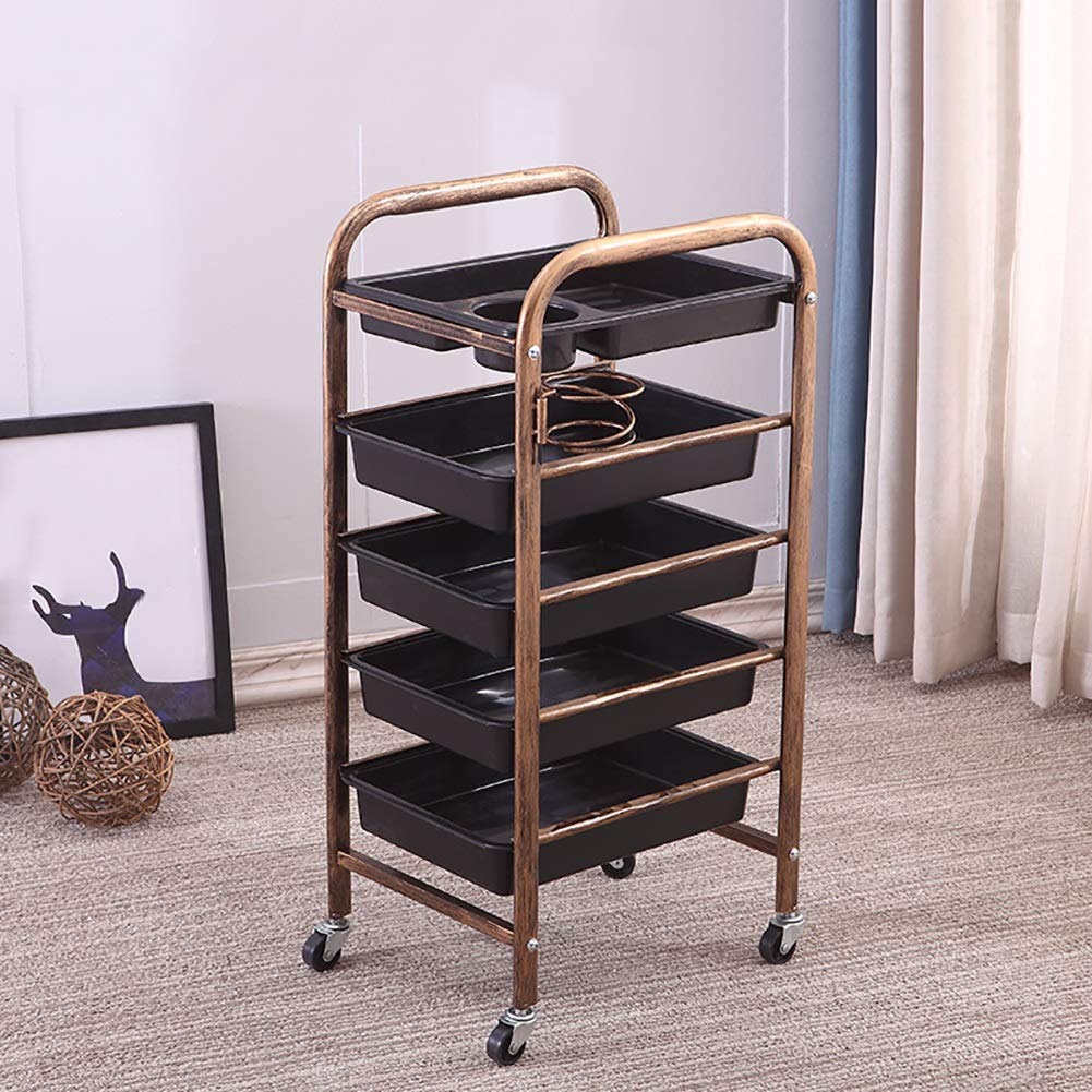 Carro de Servicio móvil para salón de Belleza, SPA, con 5 bandejas, Carrito de peluquería de 5 estantes y 4 Ruedas giratorias, Soporte para secador de Pelo (Estilo 2/L)