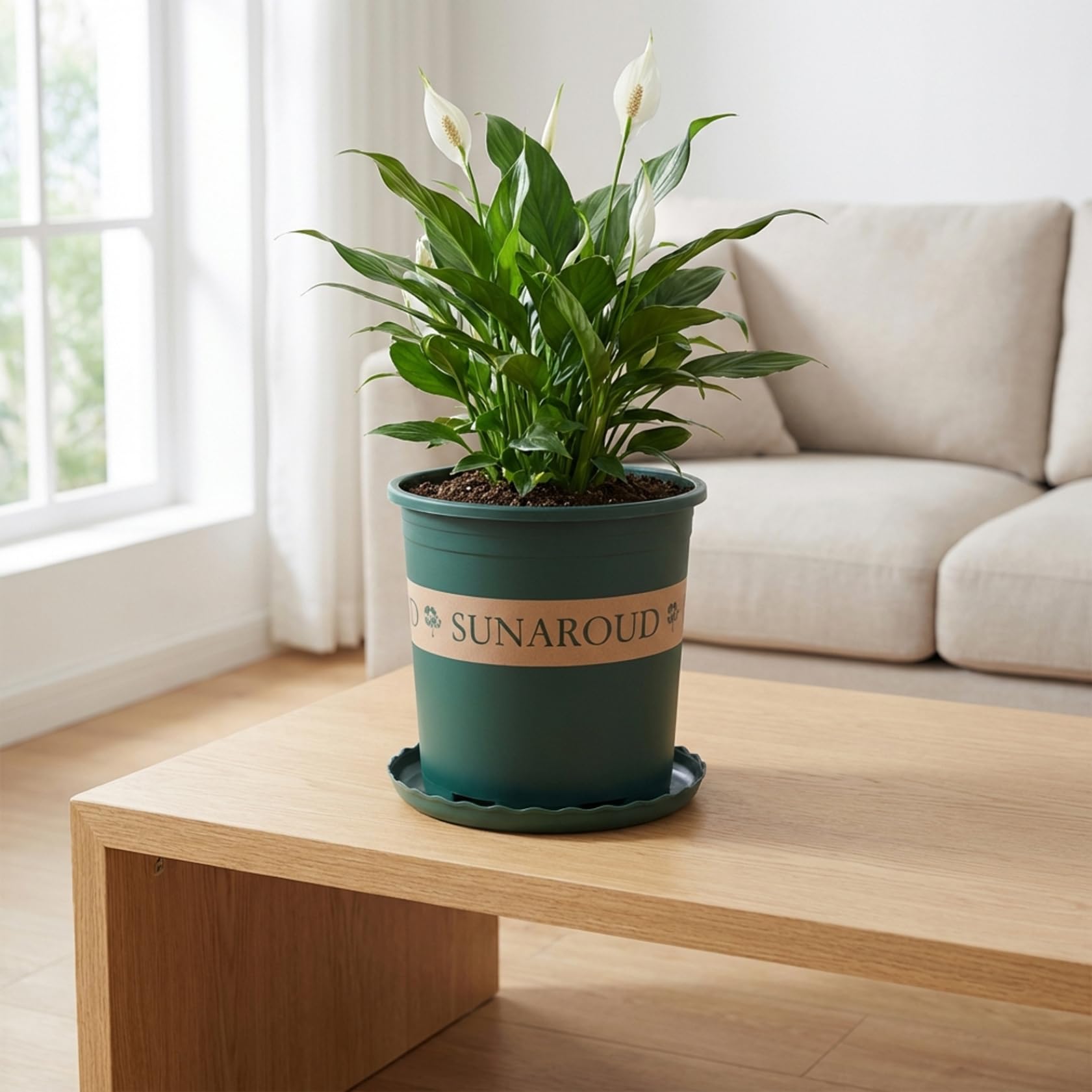 Grands Pots de pépinière, Paquet de 10 Pots Plantes en Plastique épais 2 gallons avec Trous Drainage et soucoupes, conteneurs Jardin Verts intérieurs et extérieurs pour Plantes..