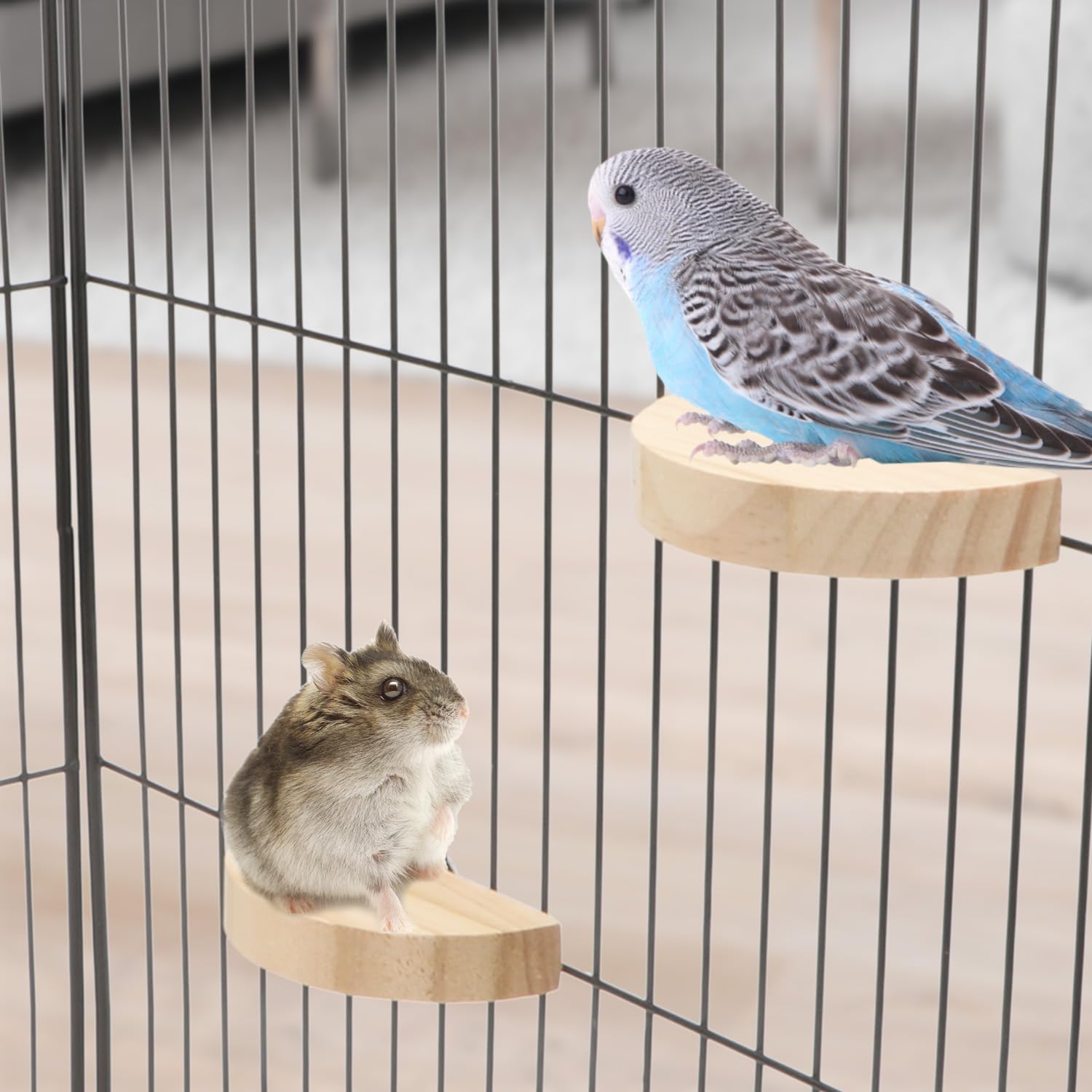 JZK Vogel Sitzstange - Grüne Holz Plattform Für Käfige