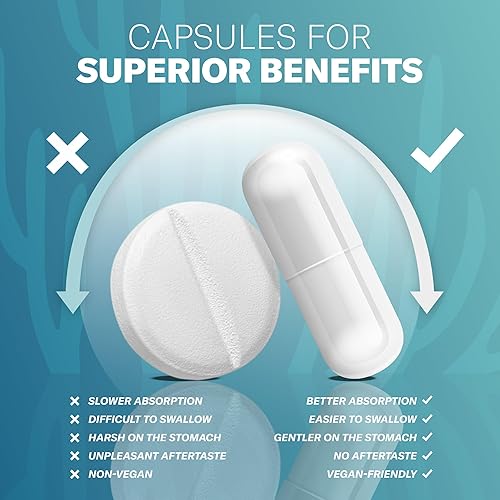 Miniatura 8 de Musgo marino orgánico de 1600 mg + bayas de saúco  90 cápsulas  Super Food estimula el sistema inmunológico y la salud digestiva salud intestinal