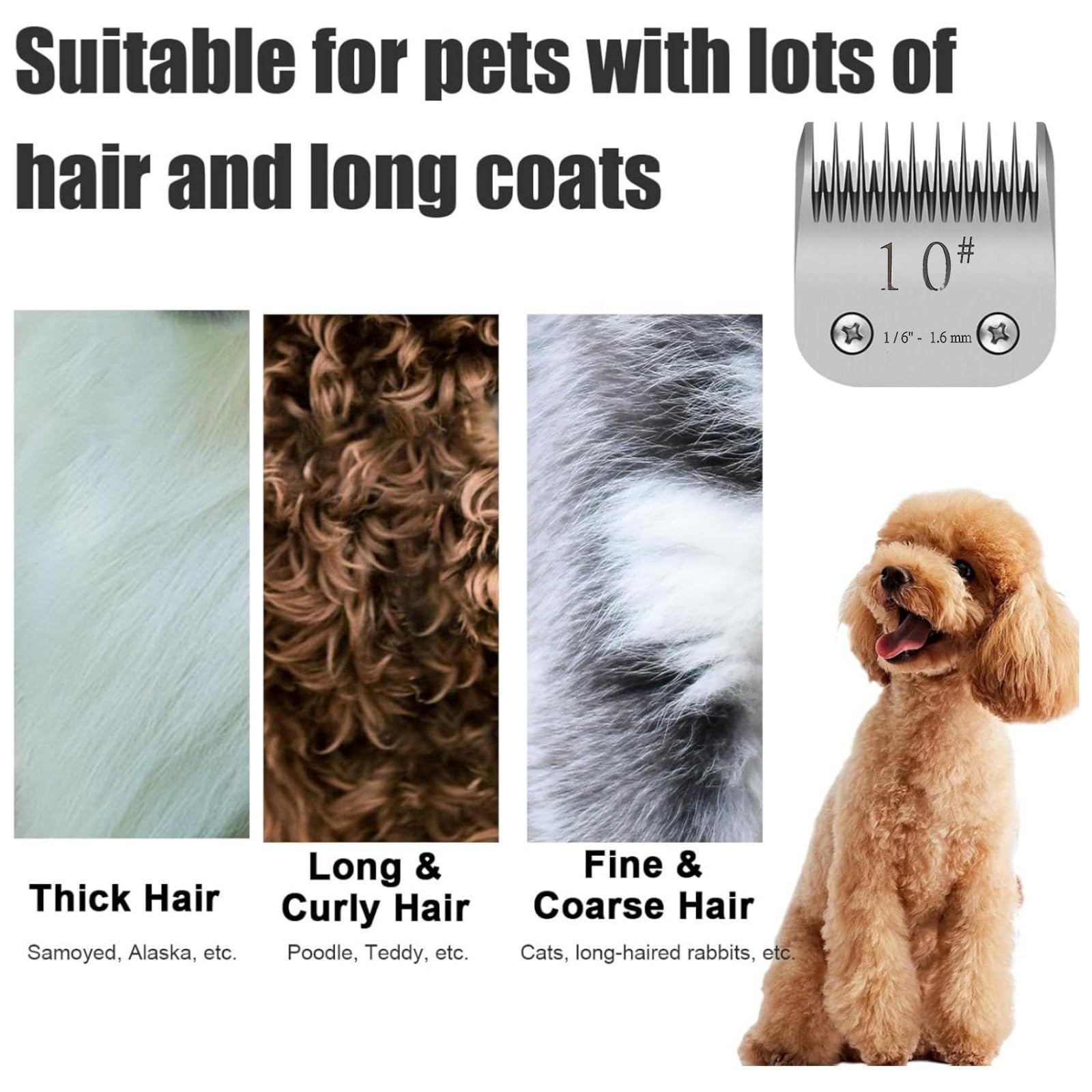WAHL KM5 犬用 バリカン 【公式通販】
