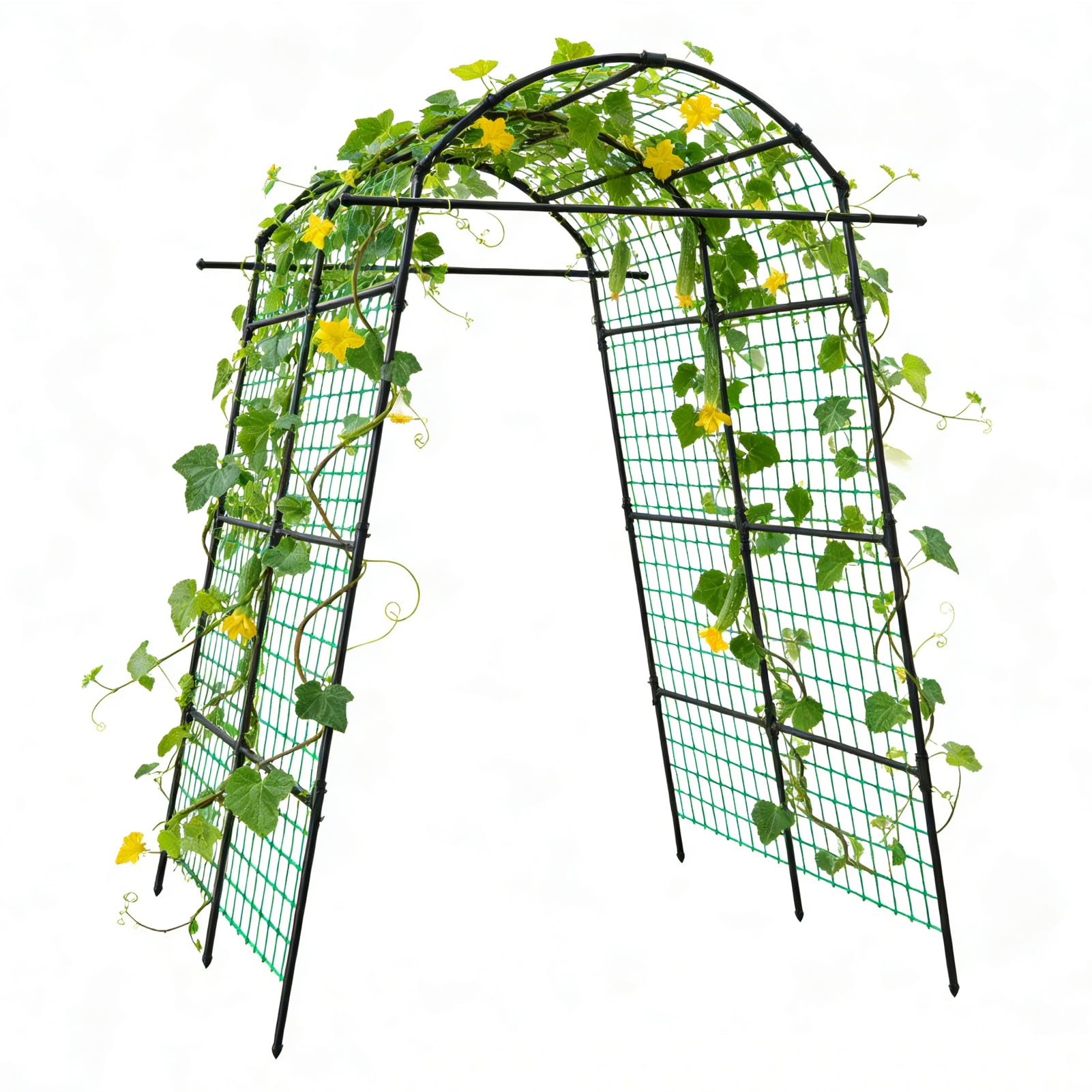 AGTEK Garden Arch Trellis