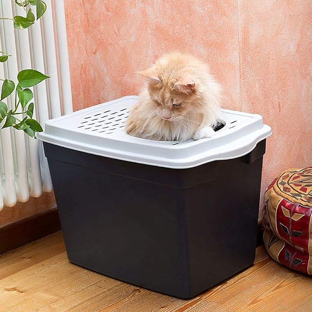Foto 3 de 7 de Ferplast Arenero Gatos Cubierto, Arenero Gato, con Entrada Superior, Tapa Perforada, 38,8 x 57,5 x h 39 cm