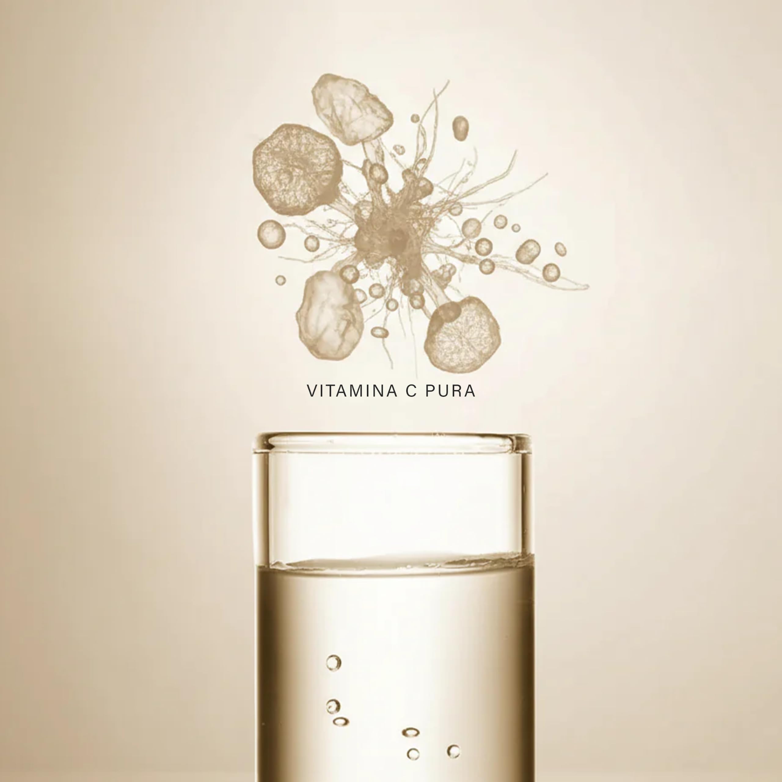 Serum Vitamina C Facial 5% + Acerola 30ml – Serum Iluminador y Antimanchas Antioxidante – Vitamin C Serum Antiedad para el Rostro