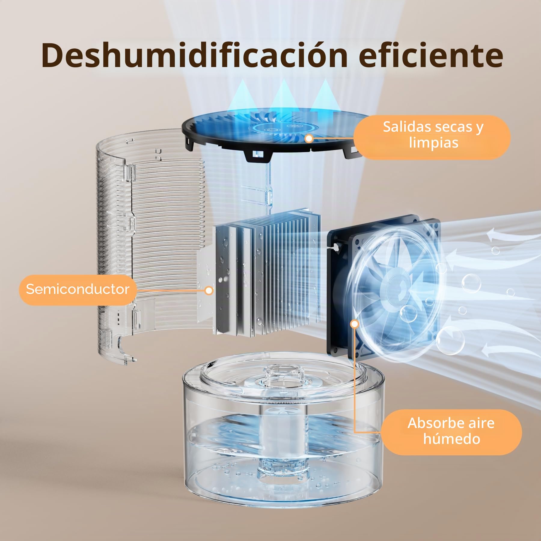 QEXREED 750ml Deshumidificadores para el Hogar, Deshumidificador Portátil | Ultra Silencioso, Apagado Automático, Ahorrador de Energía para Dormitorio, Baño, Armario y Caravana