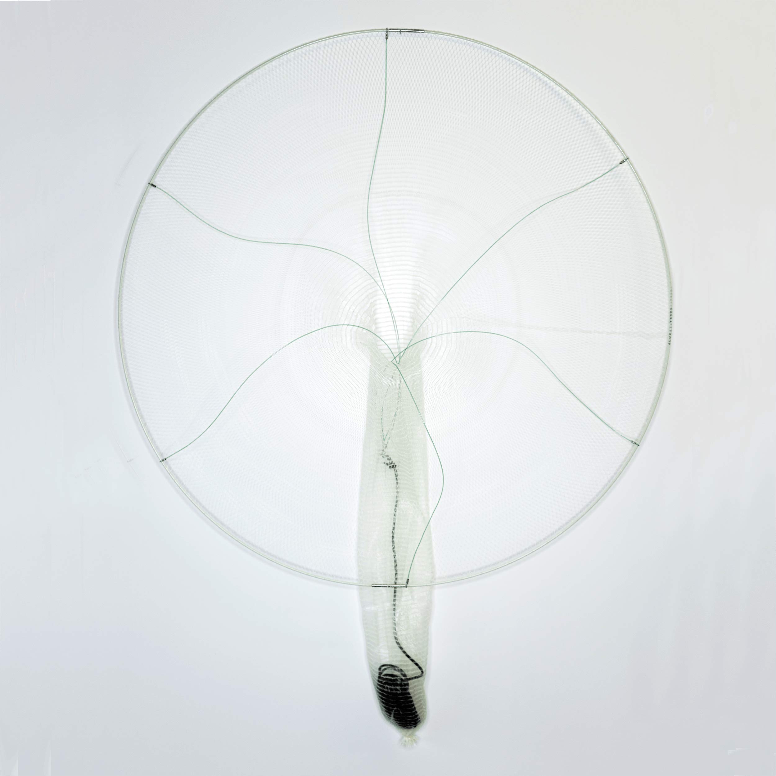 Amazon.com : The BallyHoop - Flex 24" Collapsible Fishing Hoop Net to Catch  Live Bait : Sports & Outdoors