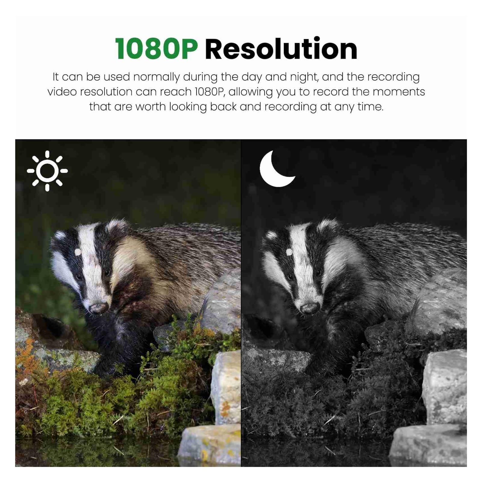 Cámara Vida Silvestre Cámara 1080P Trail Camera 2.0in IP66 A Prueba De Agua HD Exterior For Supervisión Granja Observación Campo Al Aire Libre 16MP Monitoreo Confiable Preciso