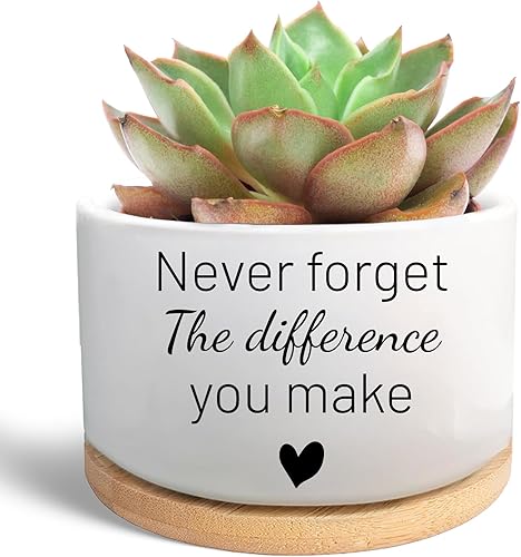 Divertida maceta suculenta, regalos de agradecimiento para compañeros de trabajo, maceta de flores de cactus, regalos de agradecimiento para