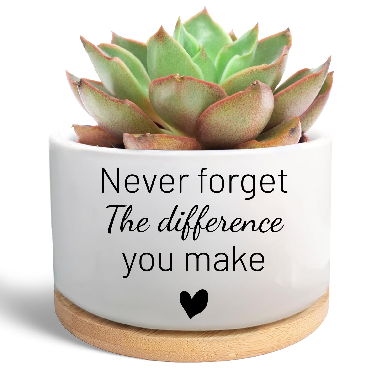 WSLCHOVE Funny Succulent Plant Pot, Thank You Gifts for Coworker Teacher, Cactus Flower Planter, Going Away Goodbye Appreciation Gifts for Women Men