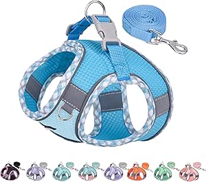 Amazon : AIITLE XXS Dog Harness & Leash Set - Breathable Reflective