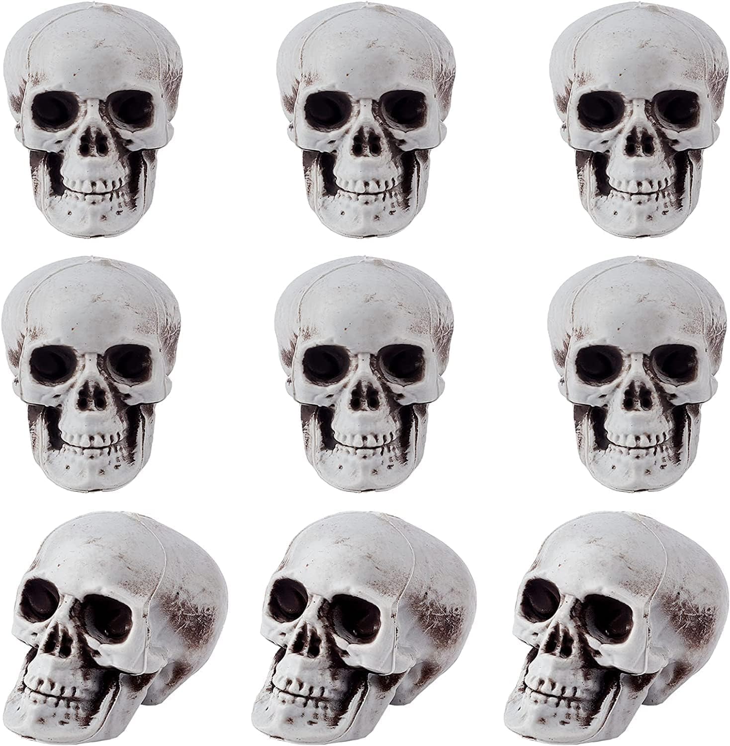 Amazon | 10個 頭蓋骨 骸骨 灰色 モデルハロウィン スカル