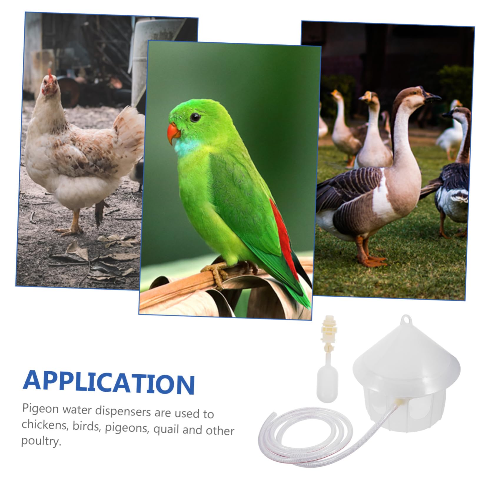 Mipcase Dispenser di Acqua Automatico per Piccioni e Pollame in Plastica, Facile da Pulire e Fissabile alle Gabbie, per Alimentare Uccelli, Quaglie e Altri Volatili