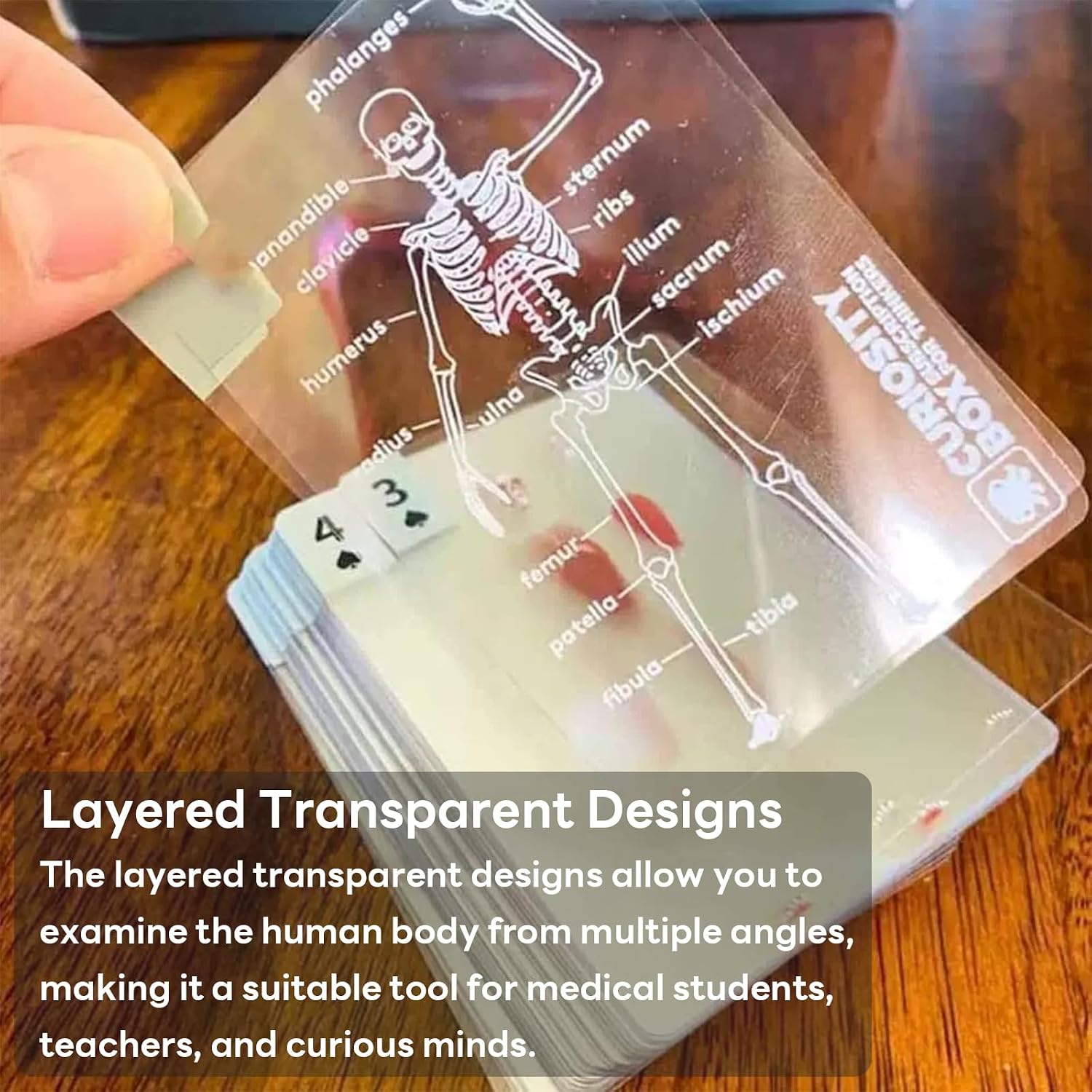 The Body Deck Playing Cards - Transparent Human Anatomy, Card Collectors Present for Anatomy Enthusiasts, Rounded Corner Design, Premium 3D Images, Educational and Fun