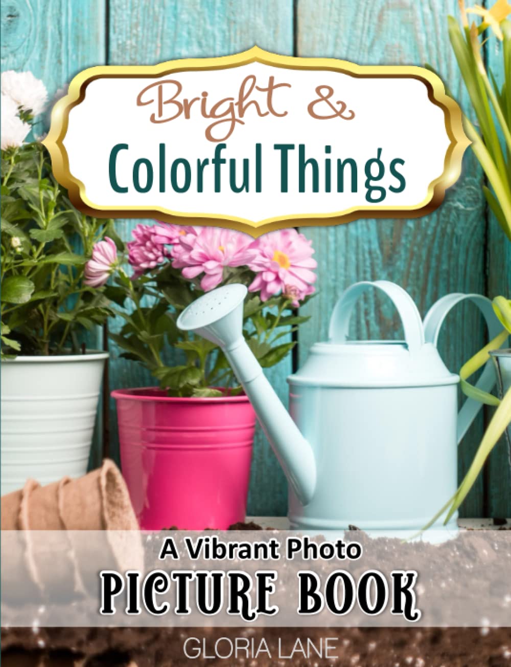 Bright & Colorful Things Vibrant Photo Picture Book: for Seniors with Alzheimer’s and Dementia Featuring Full Color Pages