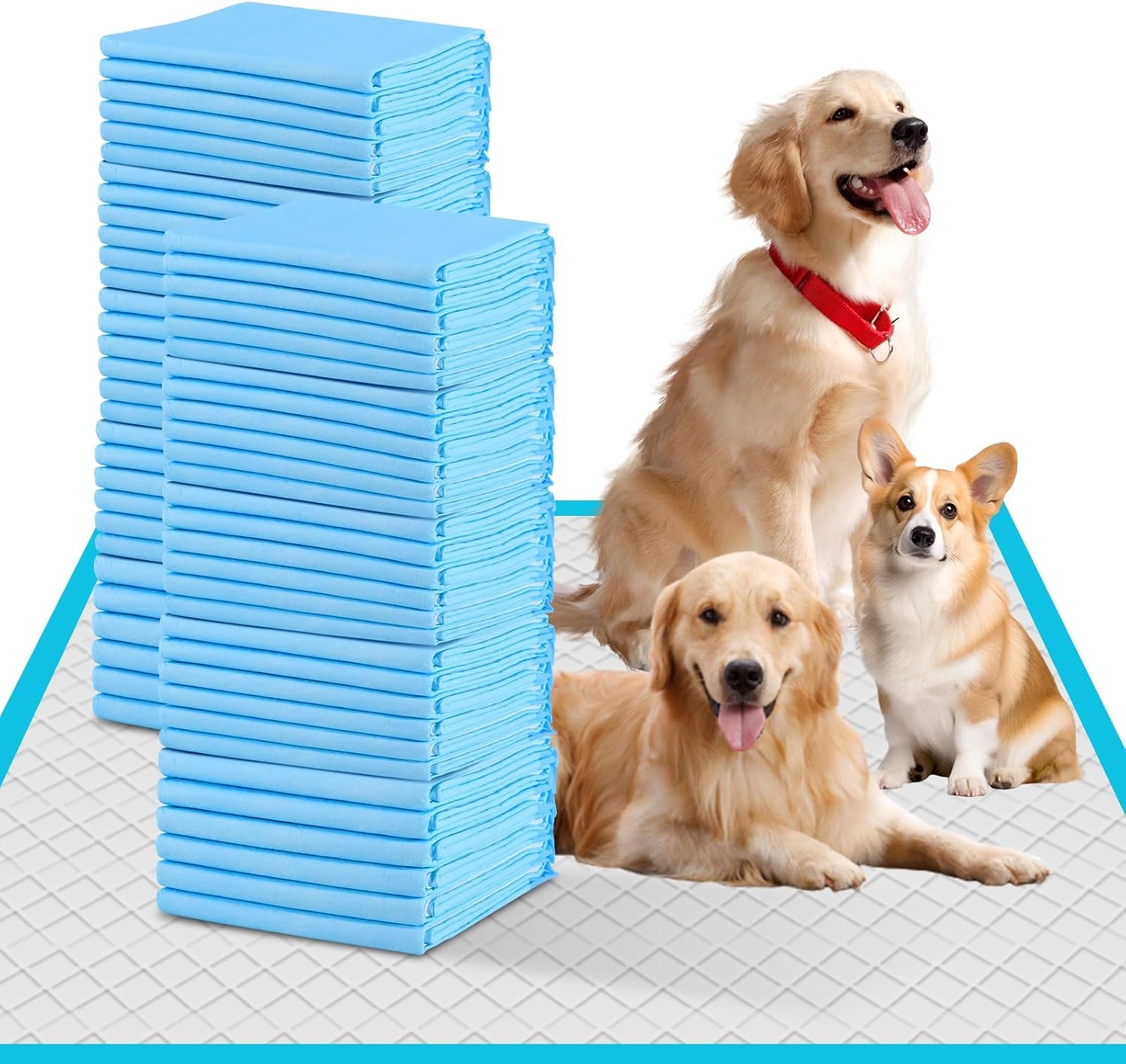 Dog Training Pad, Large 23.6”x23.6” (50 Pack), Disposable Puppy Pee Pads, Ultra Absorbent 6-Layer, Leak-Proof Quick-Dry for Cats, Rabbits, Pet Potty, Pets Supplies (Large)