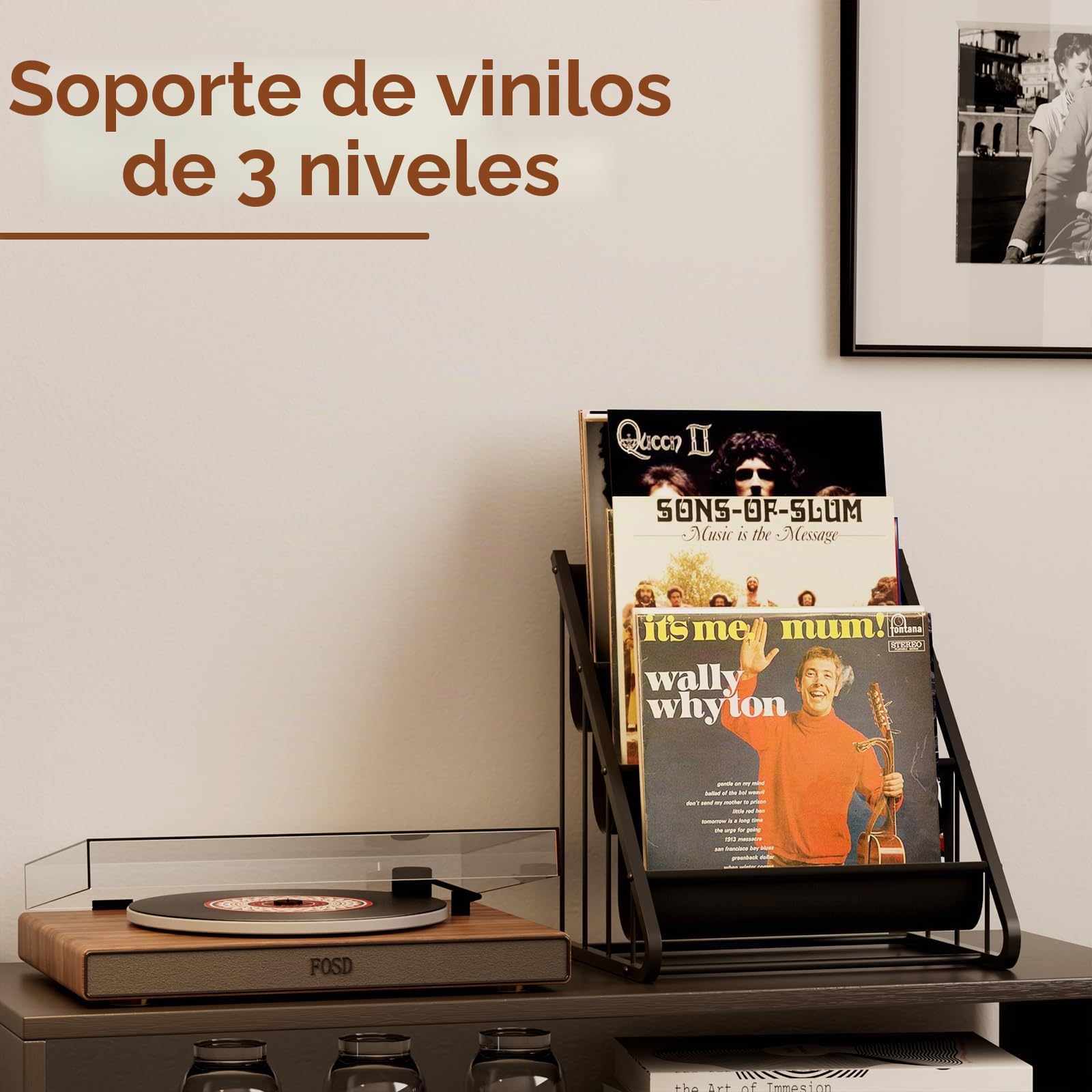 TJ.MOREE soporte para discos de vinilo, soporte para discos, estante para tocadiscos, soporte para CD, estante para discos de vinilo y soporte para vinilos - Almacenamiento para discos de 17,78/25,4