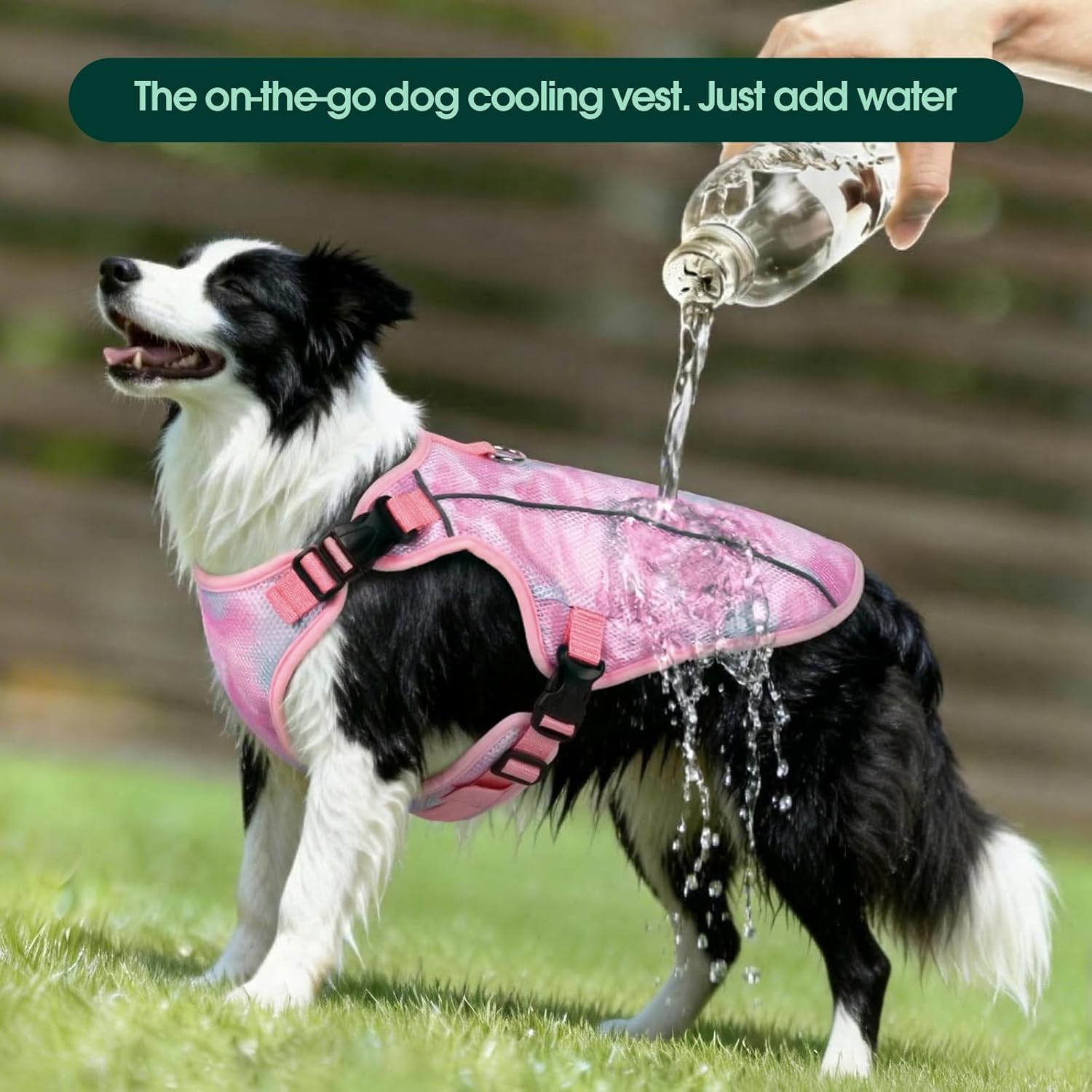 Kuoser Dog Cooling Vest for Dogs, Lightweight Cooling Shirt for Small Medium Large Dogs, Adjustable Pet Cooler Jacket with Reflective Stripe, UV Protection Pet Harness T-Shirt for Summer Outdoor