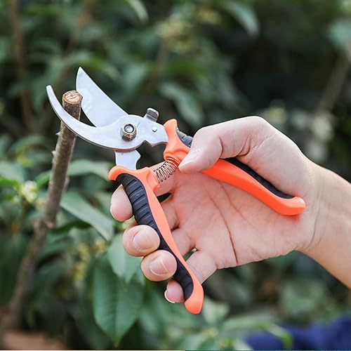 Tijeras de podar de 0.118 in, tijeras de podar profesionales de acero inoxidable de 7.5 pulgadas para jardinería, tijeras de podar afiladas de mano