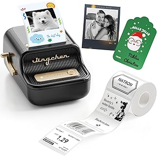 NIIMBOT B21Pro Etikettendrucker mit Größeres Etiketten, 300 DPI HD Etikettiergerät, Fotodrucker für Fotos, Notizen, Studiengrafiken, für Zuhause, Büro oder DIY-Projekte
