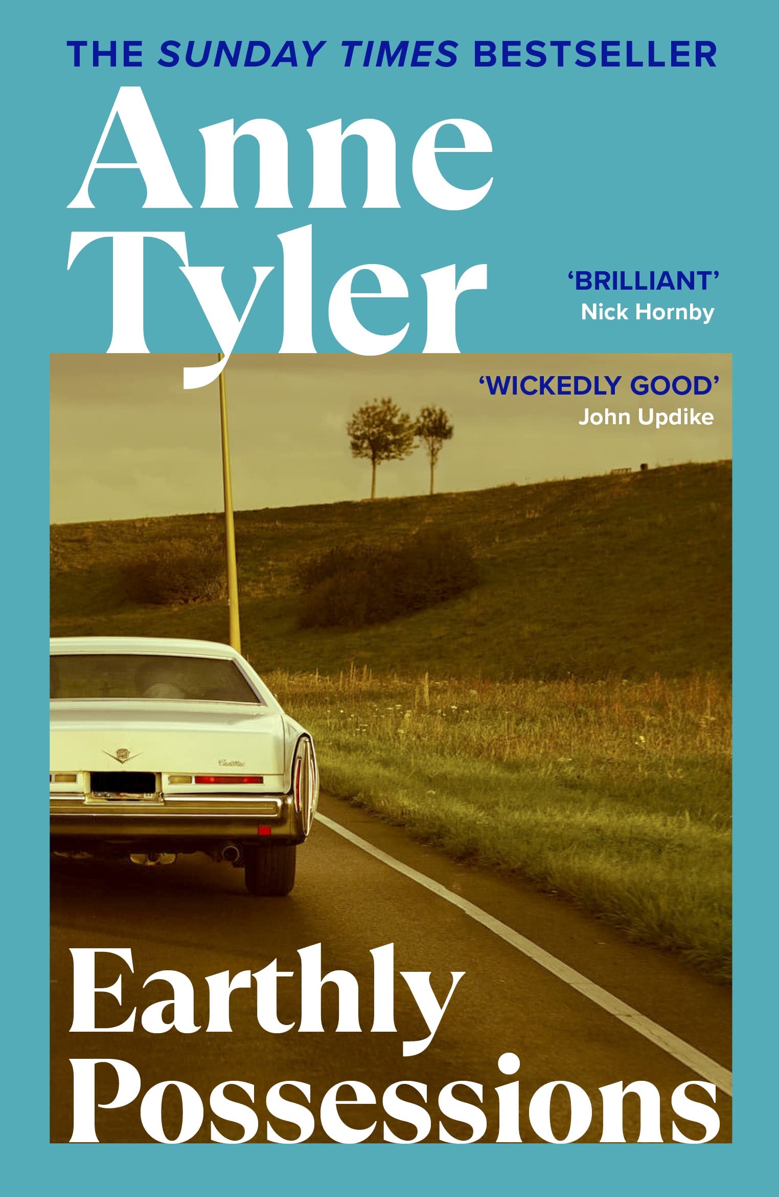 Earthly Possessions by Anne Tyler (Paperback Book)