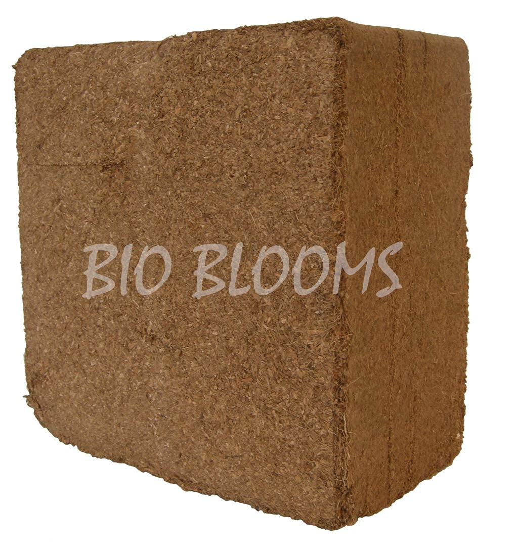 BIO Blooms Gardening Coir Pith HIGH EC (5 kg expands 80 to 90 L) Bio_5006L (B09D367P5Z) Amazon Price History, Amazon Price Tracker