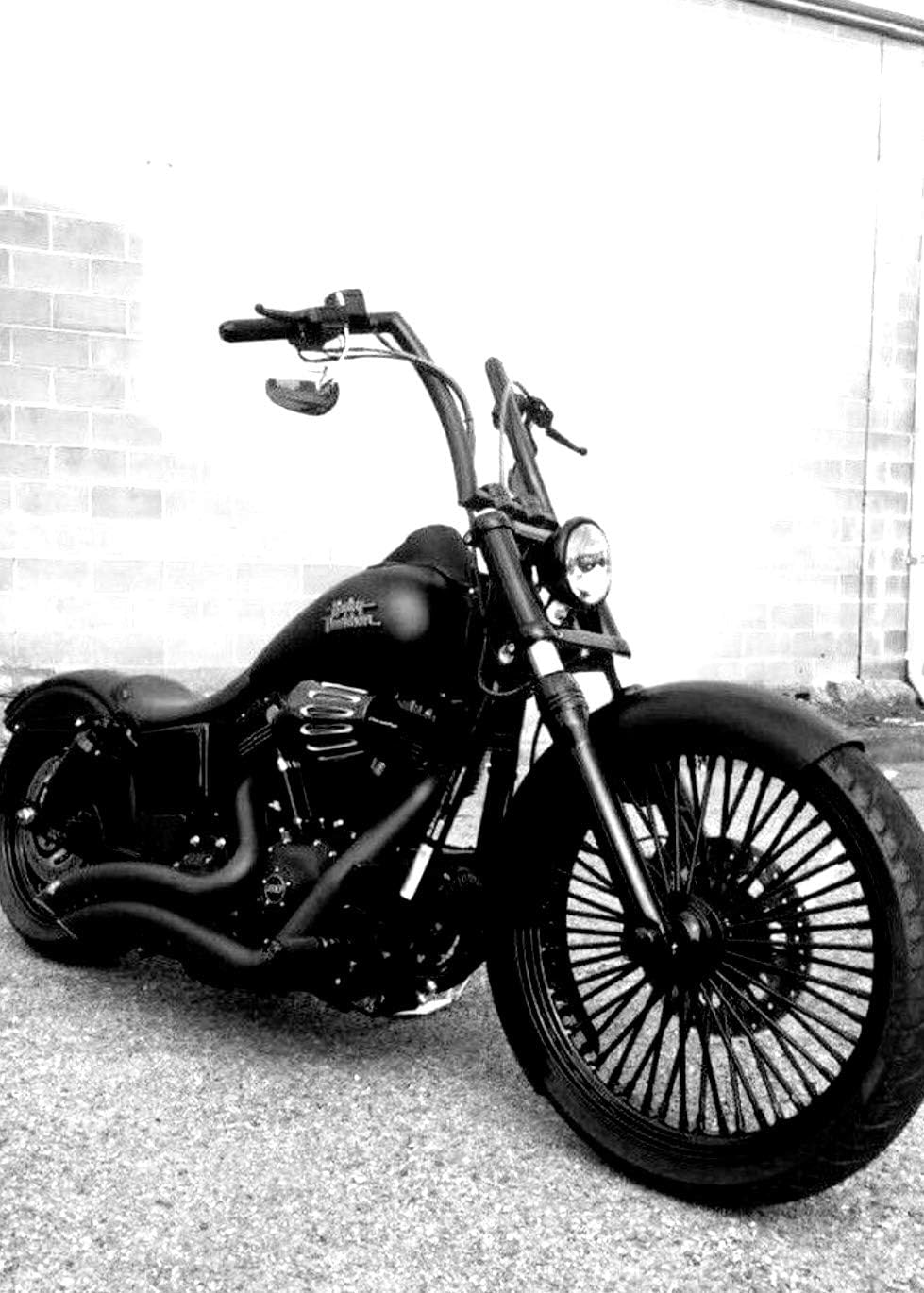 JBSporty ♤ Black Out Vinyl Decal Fork Kit Bonus 2 Extra Sheets ♤ to fit Harley Davidson Dyna Fat Bob Street Bob Custom Low Bobber