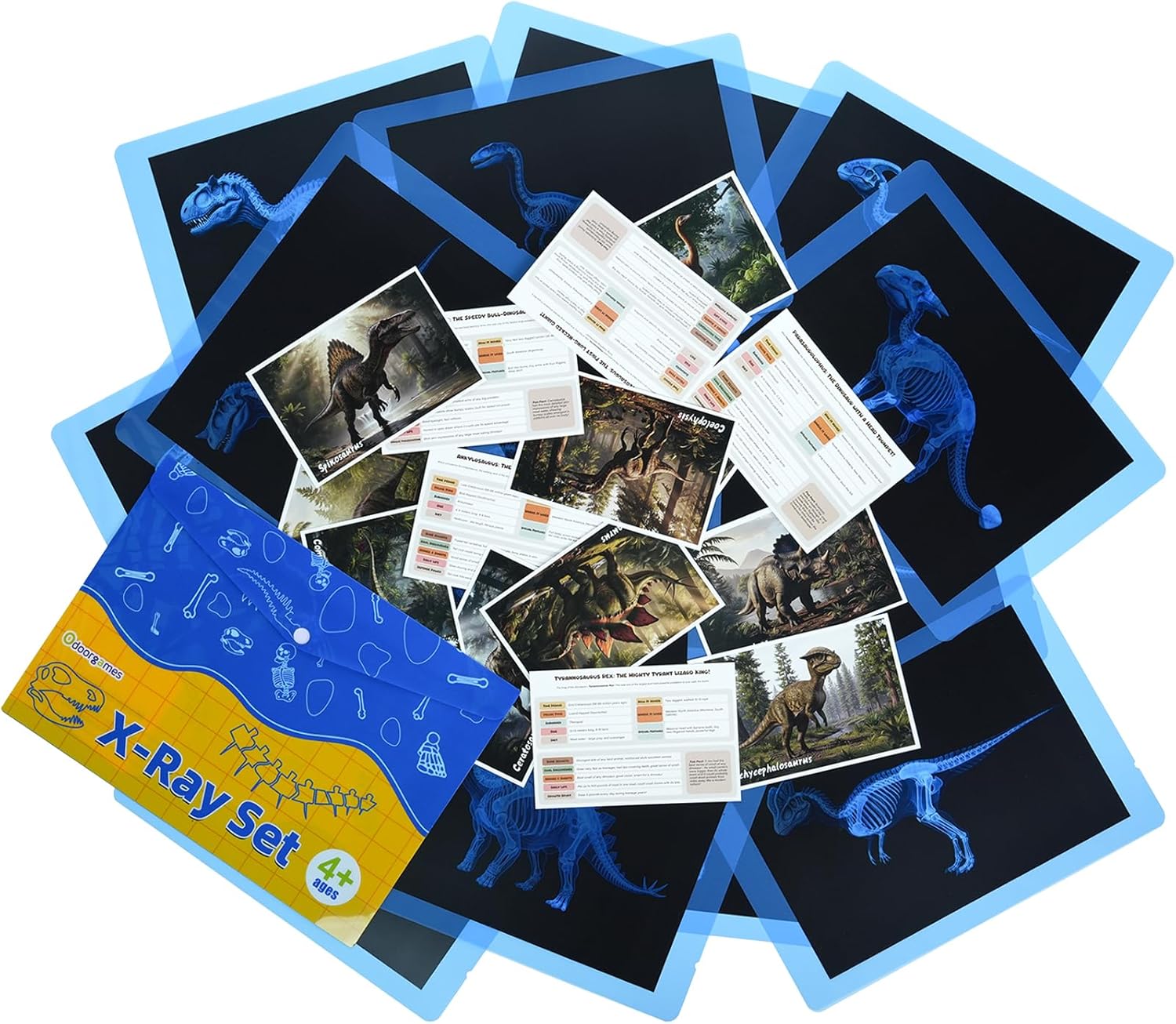 15 Pcs Dinosaur Xrays & Creatures Cards，Animal Xrays for Kids，Light Table Toys，Mythical Creatures Science Kit