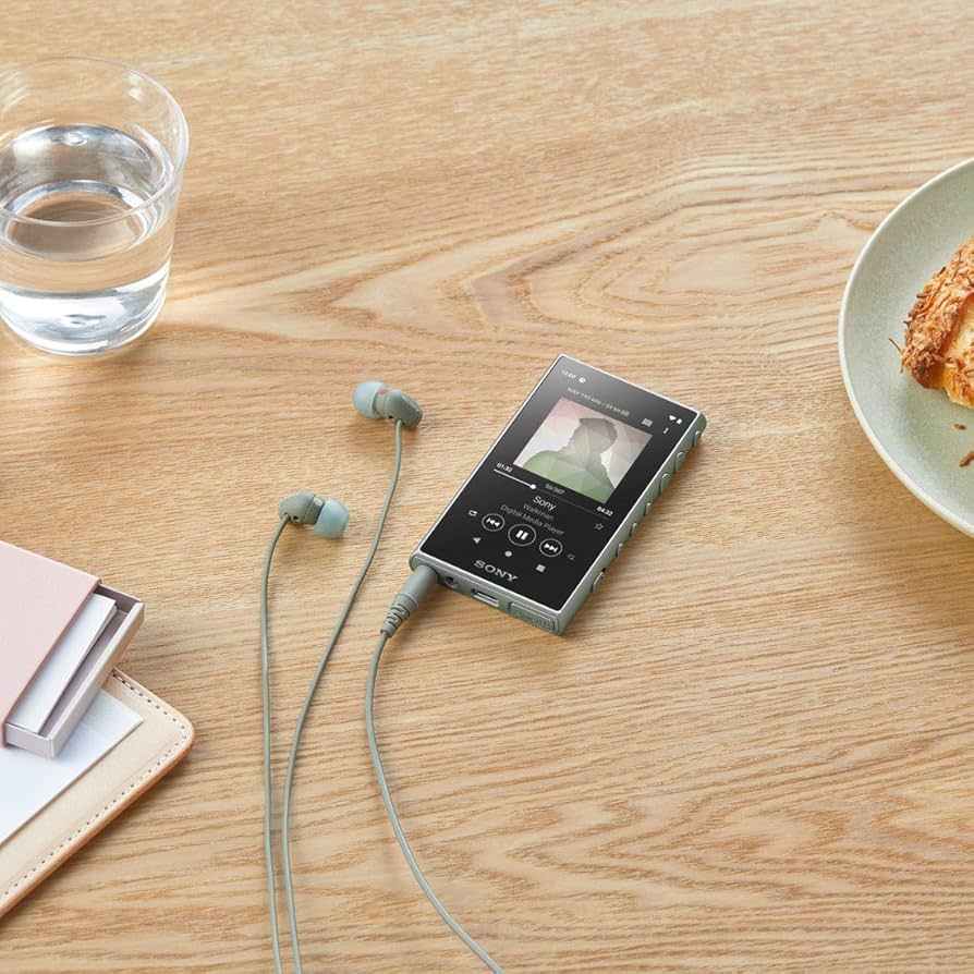 Amazon.co.jp: ソニー ウォークマン 16GB Aシリーズ NW-A105HN
