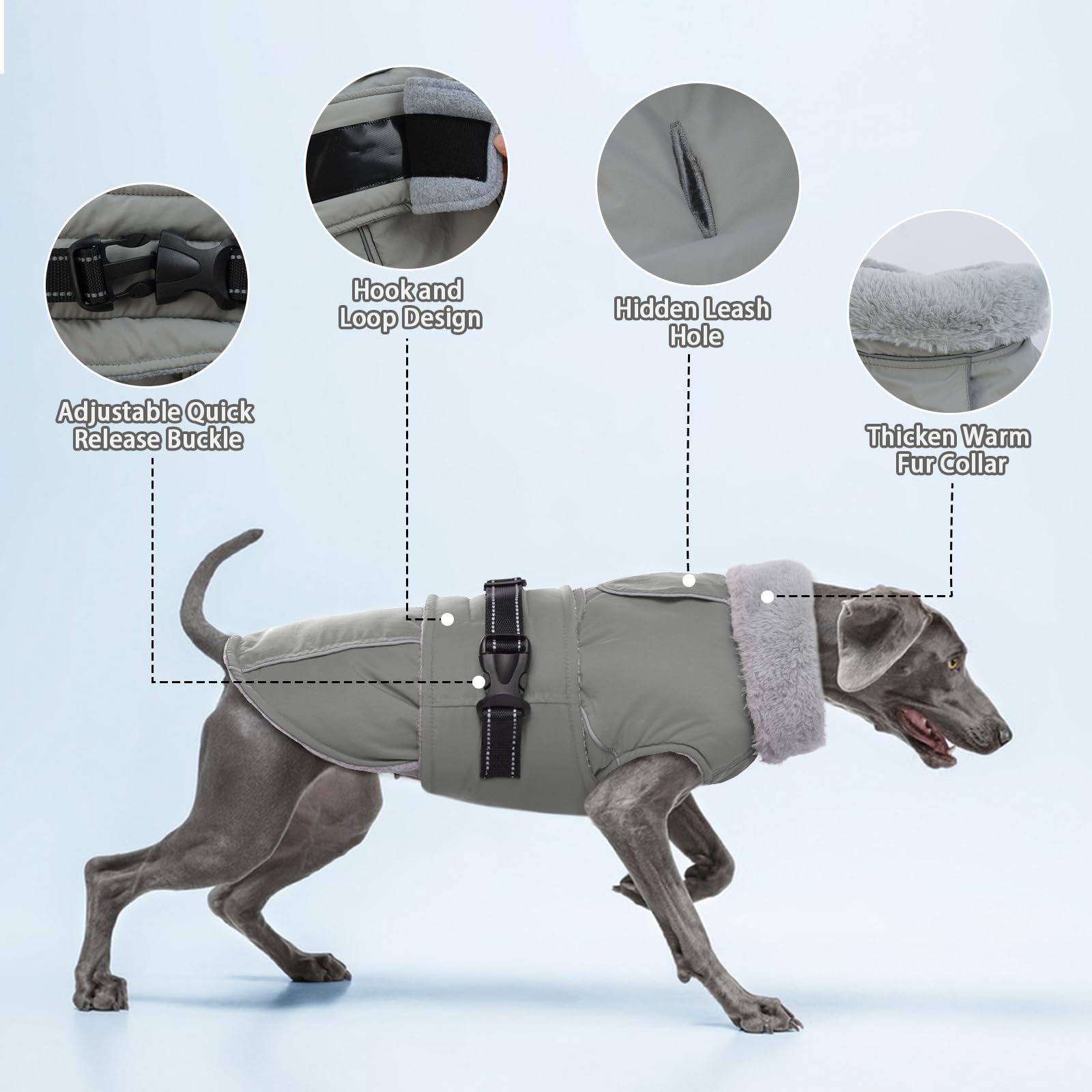 Waterproof Dog Coat with Harness Hole - Image 4