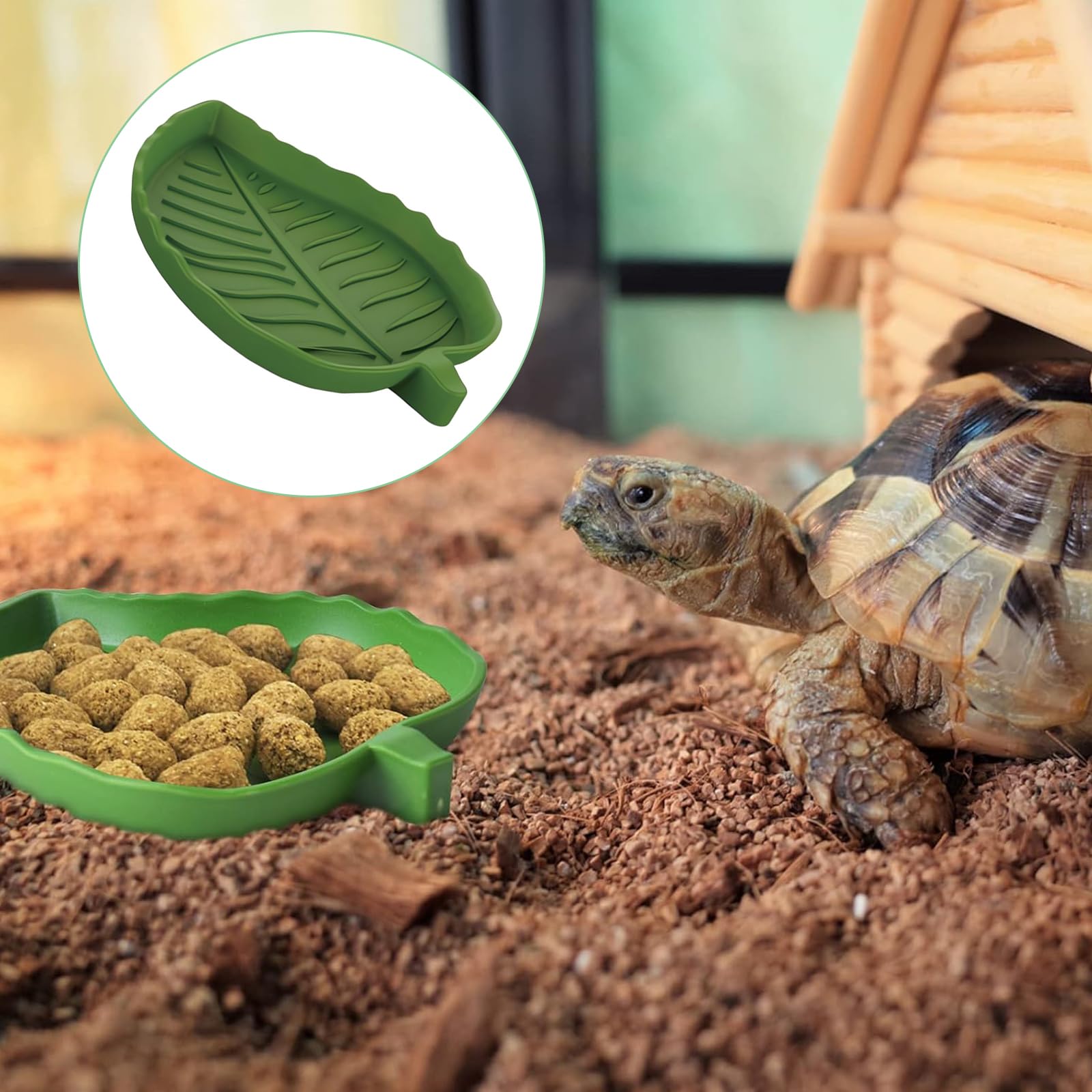 2 Cuencos Con Forma De Hoja Para Reptiles - Para Comida Y Agua, Plástico De Calidad, Verde | Para Tortugas, Lagartos, Hámsters
