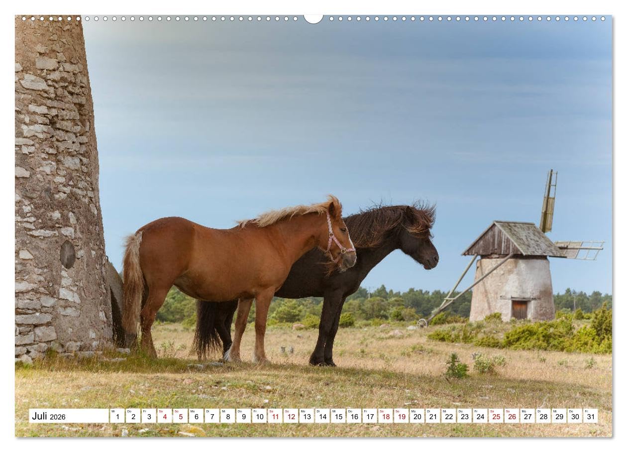 Gotland - Sonneninsel in der Ostsee (hochwertiger Premium Wandkalender 2026 DIN A2 quer), Kunstdruck in Hochglanz: Insel Gotland - die Perle Schwedens (CALVENDO Orte)