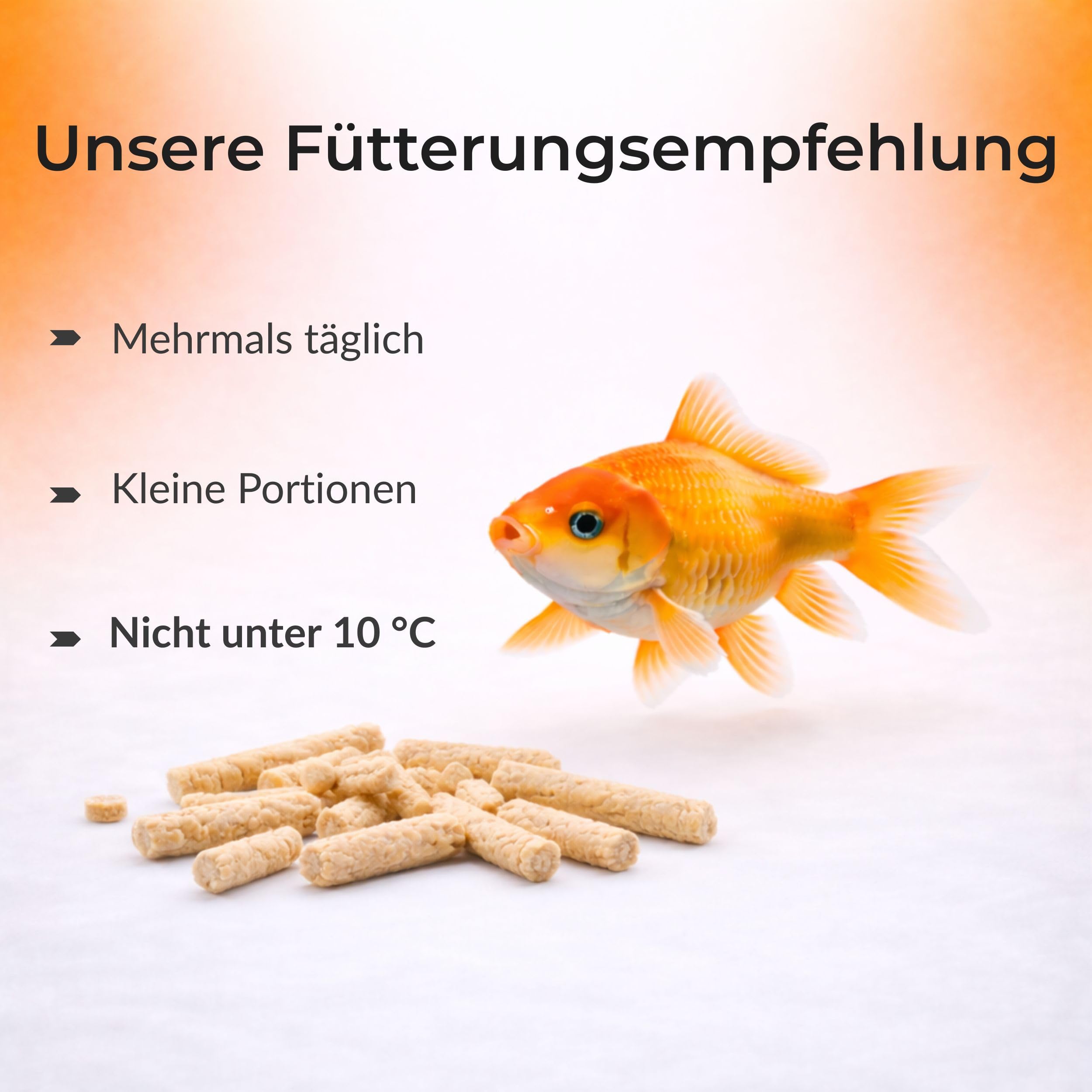 Blumixx Alimento para peces para estanque, 50 l, palitos de alimento para peces de estanque, palitos para peces de estanque, alimento para peces de colores, alimento flotante para estanque con