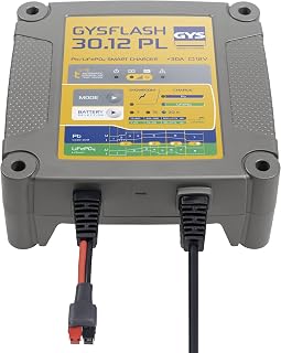 Multifunctional Battery Charger, 12V