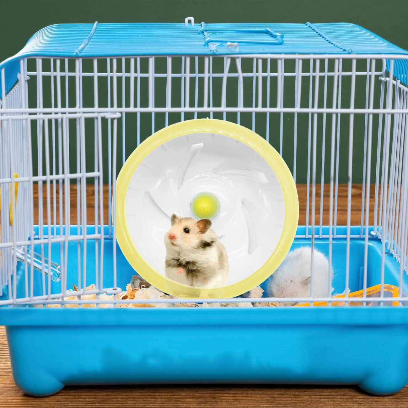 INOOMP Hamster Laufrad – Geräuscharmes Übungsrad Für Hamster, Mäuse, Chinchillas & Kleine Nager