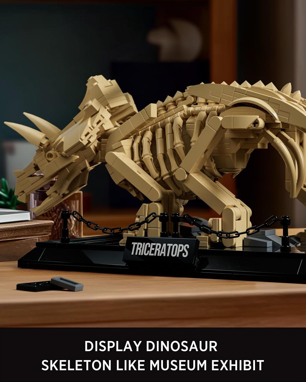Nifeliz Triceratops Fossil Model Set, Dinosaur Skeleton Building Set for Adults and Collectors, Ideal Gift for Fossil Lovers (798 PCS, NF10351)