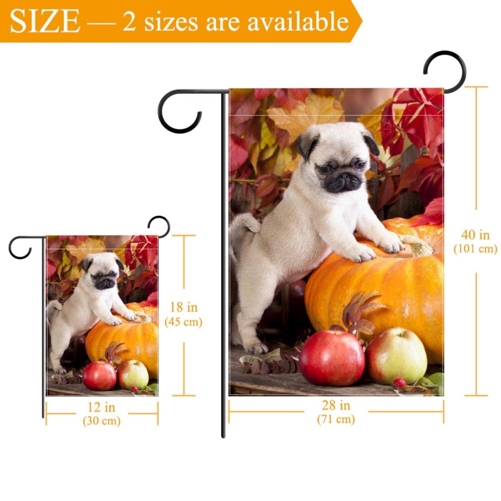 Hello Fall Gartenflagge – Doppelseitig, Mit Mops & Kürbissen, 32,5 X 45,7 Cm, Witterungsbeständiges Polyester, Herbstdeko