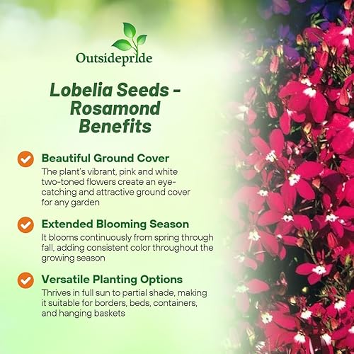 Miniatura 9 de Outsidepride Lobelia Mrs. Clibran para bordes, jardines de rocas, cestas colgantes, cajas de ventana y cubierta del suelo, 5000 semillas