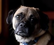 Review Image by Bryan Star